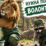 Прочее - Riac34.Ru
