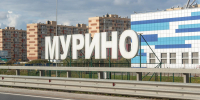 В Мурино нашли тело пропавшей пенсионерки с деменцией - Spbdnevnik.ru