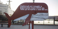 Необычные арт-объекты на мурманском вокзале привлекли внимание туристов - Телекомпания ТВ-21