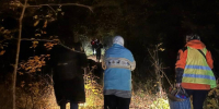 «Кто здесь?»: воронежская бабушка провела ночь в овраге - Bloknot-Voronezh.Ru