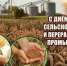 1.jpg - Краснинский район