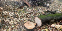 ПЛАТНАЯ ДОРОГА ... ЗАШЛА ВО ДВОР! - Экооборона Московской области