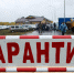 В шести районах Татарстана могут ввести карантин из-за вспышек бешенства - Газета Вести КАМАЗа