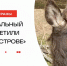 С Днём работников заповедного дела, дорогие хранители природы! - Национальный парк Лосиный остров