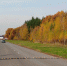 Картинка - Regions.Ru