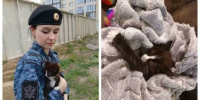 Судебный пристав Виктория Юзвик / Фото: ГУ ФССП России по Алтайскому краю - ИА Амител
