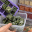 Выкиньте все пакеты для заморозки: соседка научила хранить продукты «кубиками» — в морозилке стало просторнее - Pg11.Ru