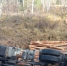 Фото Госавтоинспекции - Пульс Хакасии