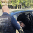 В Приморском крае завершено расследование уголовного дела о даче взятки сотруднику регионального УФСБ России - Следственный комитет
