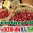 🍁 Осенний калейдоскоп-2026: лучшие дары Томской области в одном месте! - Департамент потребительского рынка