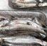 Мойва на прилавке. Архивное фото - Fishnews.Ru