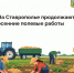 фото с группы в ВК Правительства региона - НИА-Кавказ - Ставрополь