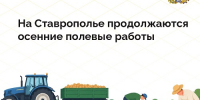 фото с группы в ВК Правительства региона - НИА-Кавказ - Ставрополь
