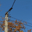 ob0mT-rnxNHWu8Q6hbbh-Iv9z98GHl04ELTEtrFNWne-Mv0FeMsc44I1poXv9QMvevoSpEbJt5_j-DK_i9itqRXTA3y8-A.jpg - Городской округ Отрадный