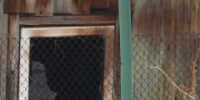 Новокузнечанка высудила с соседа по даче компенсацию за сгоревший домик - ИА Город Новостей