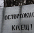 Жителей Алтая продолжают кусать клещи, несмотря на похолодание - Комсомольская Правда