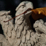 Солнечная и сухая погода ожидается в Ленобласти 15 октября - ЛенТВ24