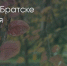 Поделитья во ВКонтакте - Братская Студия Телевидения