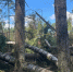 Картинка - Regions.Ru