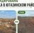 Свалку площадью более 12 тысяч кв. м ликвидировали по решению суда в Ютазинском районе - Министерство экологии