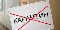Карантин по бешенству сняли в Белогорске но некоторые ограничения еще остались - Amur.Life