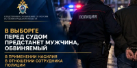 Пьяный мужчина напал на полицейского - SyasNews.Ru
