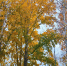 1-YIHahKXB4N6N2pMYP4bv55noL8DG02uH4lFZtXhTs36Z5wi-mihxr7nJFU2oxdxLhcQ.jpg - Ozersk74.Ru