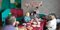 За чашкой чая «Жизни золотой листопад» - Библиотеки Тамбовской области