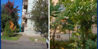 В Волжском жителей заставляют спилить насаждения и цветы у подъезда - Блокнот Волжского