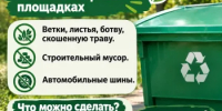 В обычные баки нельзя кидать ветки, листья и шины - Министерство природных ресурсов
