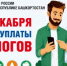 Срок уплаты налогов не позднее 1 декабря 2026 года. - Гостехнадзор