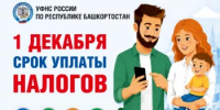 Срок уплаты налогов не позднее 1 декабря 2026 года. - Гостехнадзор