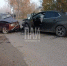 Водитель ВАЗа пострадал в лобовом ДТП в Красногородске - Псковская правда
