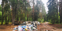 Мусорный беспредел: во Всеволожском районе экомилиция борется со стихийными свалками - Всеволожские вести онлайн