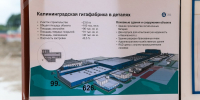 Росатом: гигафабрика в Калининградской области загружена не полностью - NewKaliningrad.Ru
