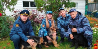 В УФСИН России по Томской области прибыли пять щенков породы немецкая овчарка - УФСИН России