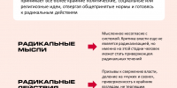 Признаки радикализации - Художественный музей