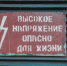 В Балаклавском районе Севастополя ввели карантин после смерти бешеного щенка - SevastopolMedia