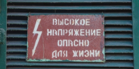 В Балаклавском районе Севастополя ввели карантин после смерти бешеного щенка - SevastopolMedia
