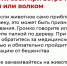 Жителям Тверской области напомнили о правилах безопасности при встрече с дикими животными - Комсомольская Правда