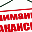 Вакансия. - Лебяжьевский муниципальный округ