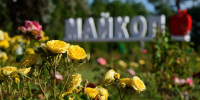 Фото: Пресс-служба мэрии Майкопа - Газета Майкопские новости