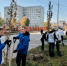В Новомосковске стартовали осенние высадки в рамках акции «Новомосковск, дыши!» - ИА Новомосковск Сегодня