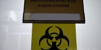 Омичей предупредили о смерти от бешенства - СуперОмск