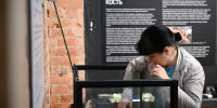 Новая выставка открывается 16 октября в музее археологии - Газета Хабаровские вести
