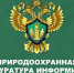 Карельская межрайонная природоохранная прокуратура разъясняет ответственность за складирование отходов на лесных участках - Питкярантский район