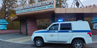 В Кызыле из-за рисков появления медведей для учащихся второй смены сократили продолжительность уроков - Правительство Республики Тыва