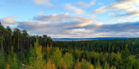 Картинка - Regions.Ru