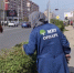 Работы по благоустройству и санитарной очистке городских территорий продолжаются. - Сетевое издание Каспий-Медиа