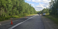 В Коле будут судить алководителя-убийцу - SeverPost.ru